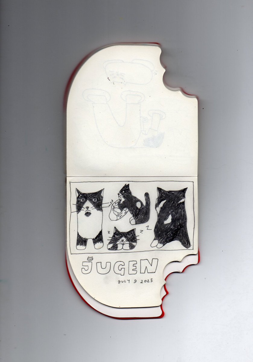 My cat passed away on a random wednesday…..