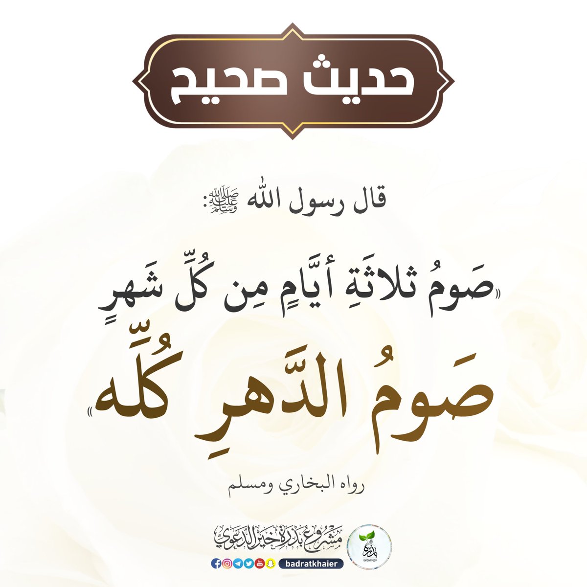 الكتابُ والسُّنة (@kitabwasunna93) on Twitter photo 