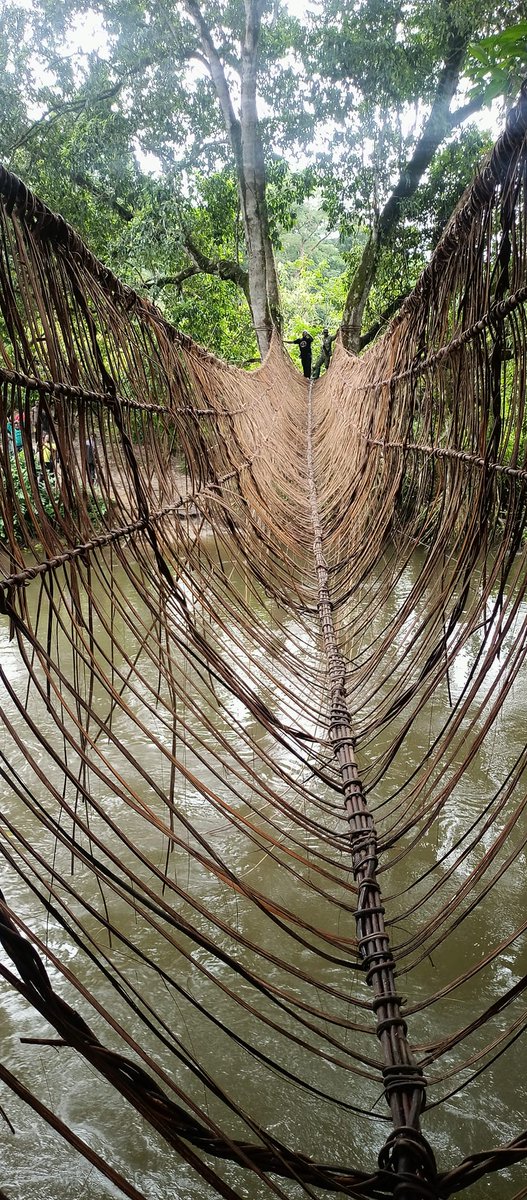 miketerungwa's tweet image. Will you try this? I did, during a field visit to Boki, Cross River State, Nigeria.
This handmade cane bridge, rebuilt every year at the start of the rainy season, is a powerful example of indigenous knowledge and resilience.
#ClimateResilience
Madrid Hostel Asue Morayo Tacha