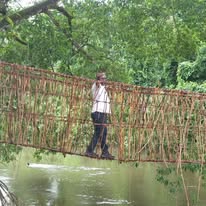 miketerungwa's tweet image. Will you try this? I did, during a field visit to Boki, Cross River State, Nigeria.
This handmade cane bridge, rebuilt every year at the start of the rainy season, is a powerful example of indigenous knowledge and resilience.
#ClimateResilience
Madrid Hostel Asue Morayo Tacha