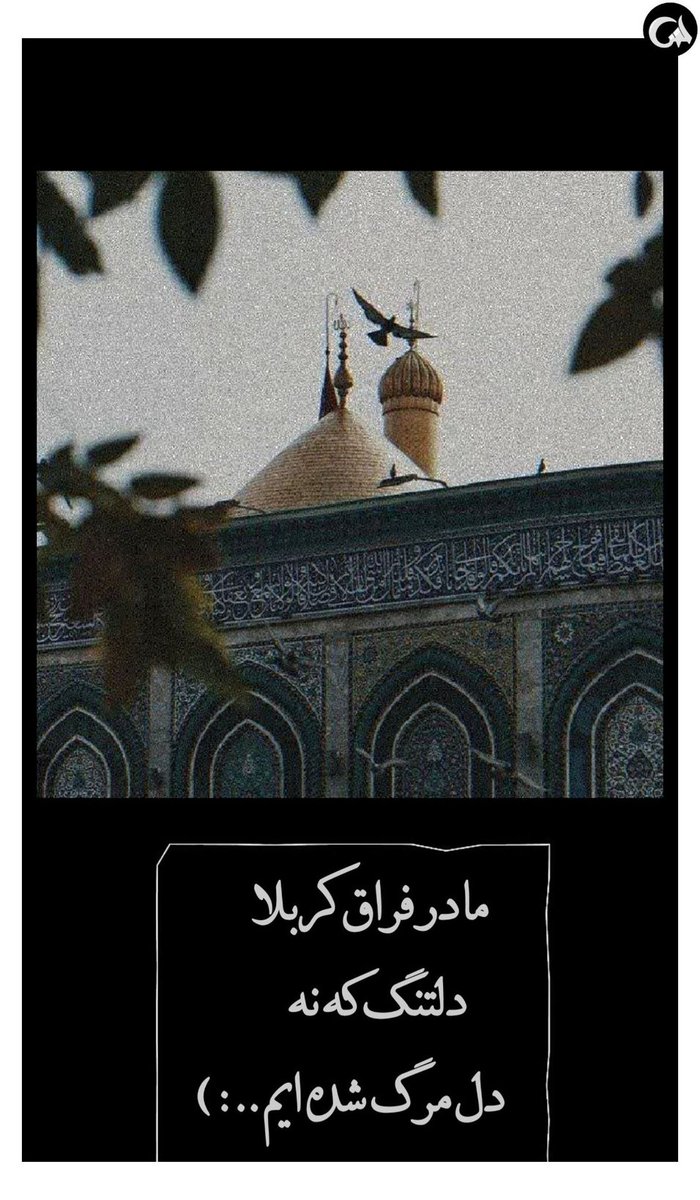 dlrba3368604's tweet photo. با عشق حسین هر که سر و کار ندارد
خشکیده نهالیست، پر و بال ندارد
ما غرق گناهیم و ز آتش نهراسیم
آتش به محبان حسین کار ندارد
حسین آرام جانم  حسین روح و روانم 
#حب_الحسین_یجمعنا
#طلوع_اربعین https://t.co/ez5Rbe5vE6