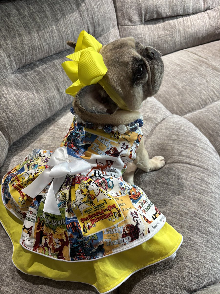 Sergeant Margaux (@margaux28083812) on Twitter photo Hi frens! I had a play date wit cuzins Zinny, Winny, and Lucy <a href="/mommasboymushu/">Angel Mushuππ, Zinnyπ€, Winnyπ</a> yesterday. We had so much fun while da mamas made us some new necklaces. Have a great day! Lubs yous!β€οΈπ Hi frens! I had a play date wit cuzins Zinny, Winny, and Lucy <a href="/mommasboymushu/">Angel Mushuππ, Zinnyπ€, Winnyπ</a> yesterday. We had so much fun while da mamas made us some new necklaces. Have a great day! Lubs yous!β€οΈπ