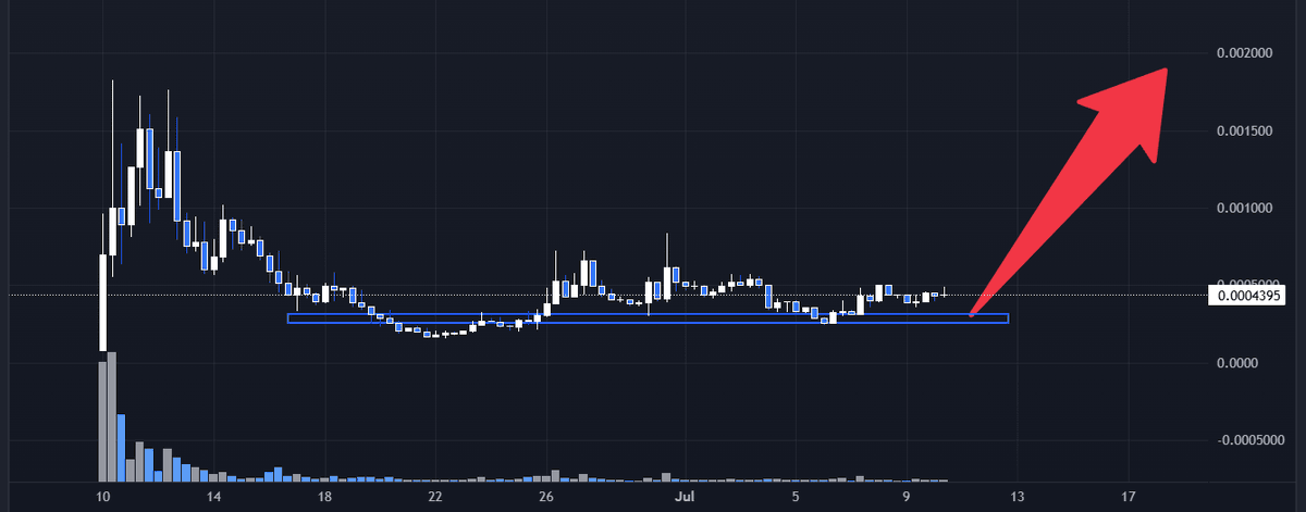 Hunter Andrew tweet media