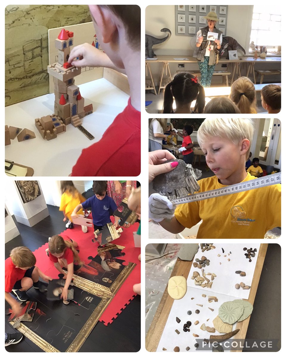 Meole Brace C of E Primary School and Nursery tweet media