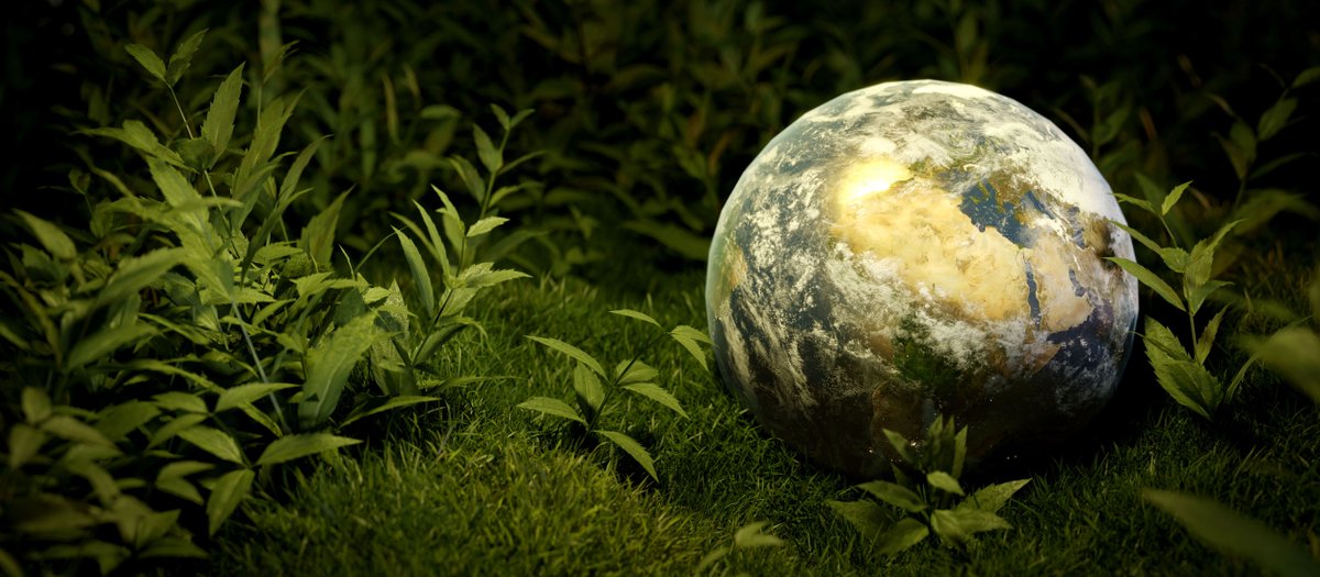 🕒 Wir wurden vom TIME Magazine ausgezeichnet: Ricoh zählt zu den nachhaltigsten Unternehmen der Welt! 🌱 In der aktuellen Pressemitteilung gibt es mehr Informationen: cutt.ly/irUSwhkN