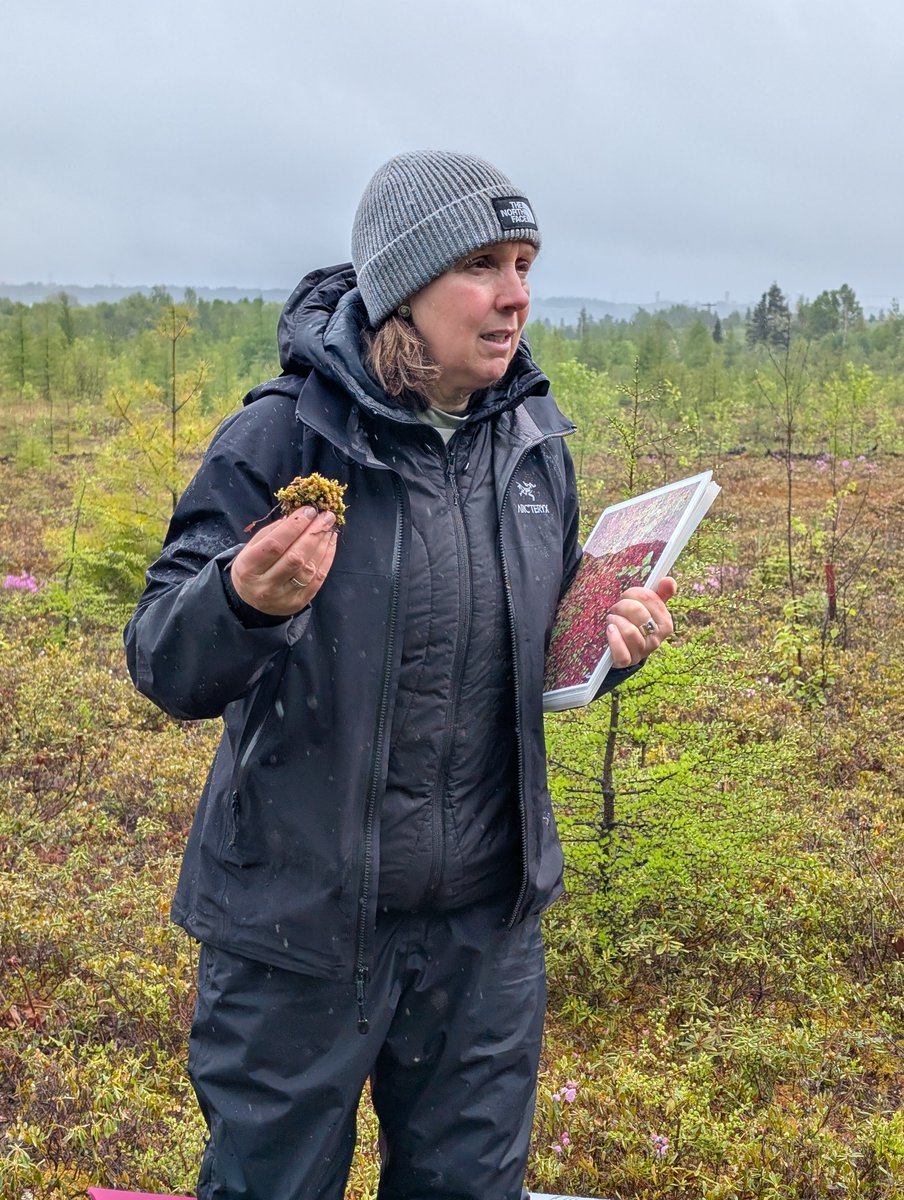 CRIV @ Laval U (@ulcriv) on Twitter photo 👏 Félicitations <a href="/RochefortLine/">Rochefort Line</a>, membre du CRIV, chercheuse la plus productive au monde en restauration des tourbières selon une étude parue dans Ecological Indicators !
L'étude place aussi <a href="/universitelaval/">Université Laval</a> 1re au monde dans ce domaine.
sciencedirect.com/science/articl…
#ulcriv <a href="/ULFSAA/">Communications FSAA</a> 👏 Félicitations <a href="/RochefortLine/">Rochefort Line</a>, membre du CRIV, chercheuse la plus productive au monde en restauration des tourbières selon une étude parue dans Ecological Indicators !
L'étude place aussi <a href="/universitelaval/">Université Laval</a> 1re au monde dans ce domaine.
sciencedirect.com/science/articl…
#ulcriv <a href="/ULFSAA/">Communications FSAA</a>
