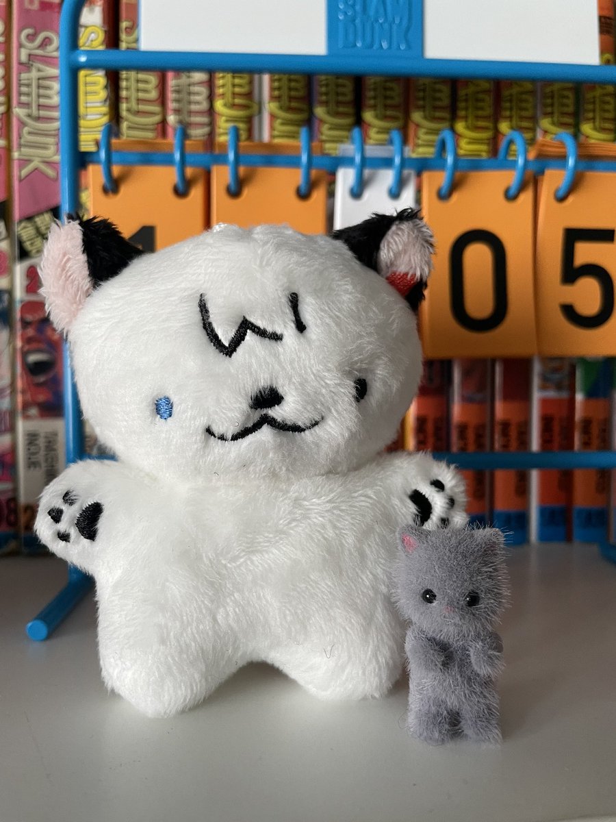 가끔씩 고양이랑 무현쌤이 보고싶음.(이름 생겼어도 고양이라고 하고픈)