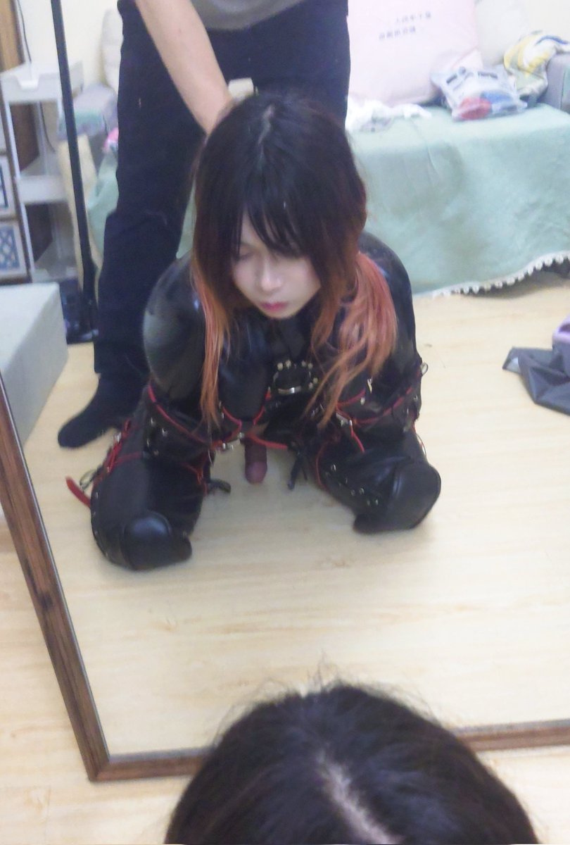 小狗开始凶人了！得拉起来打一顿！ #k9   #latex