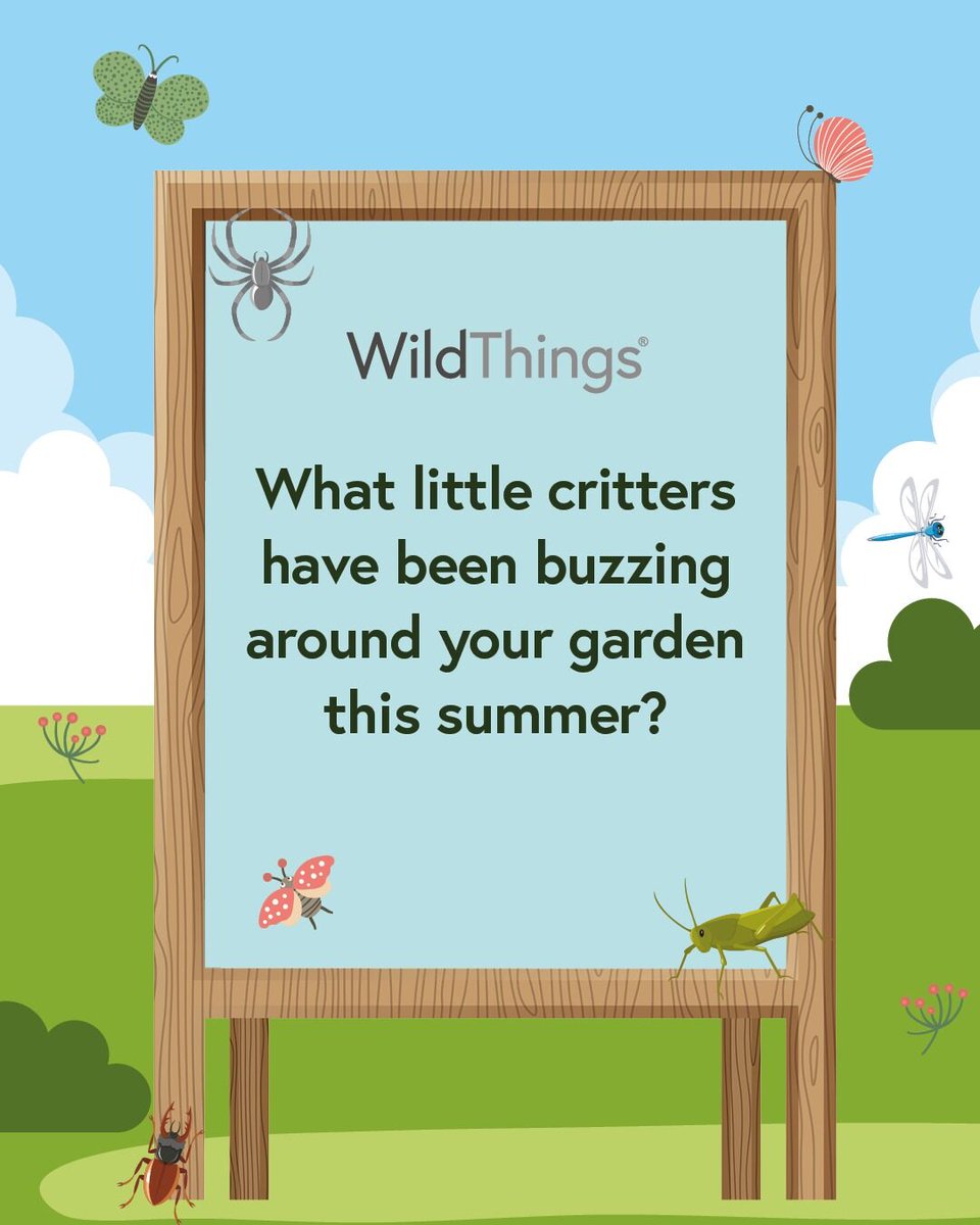 WildThings tweet media