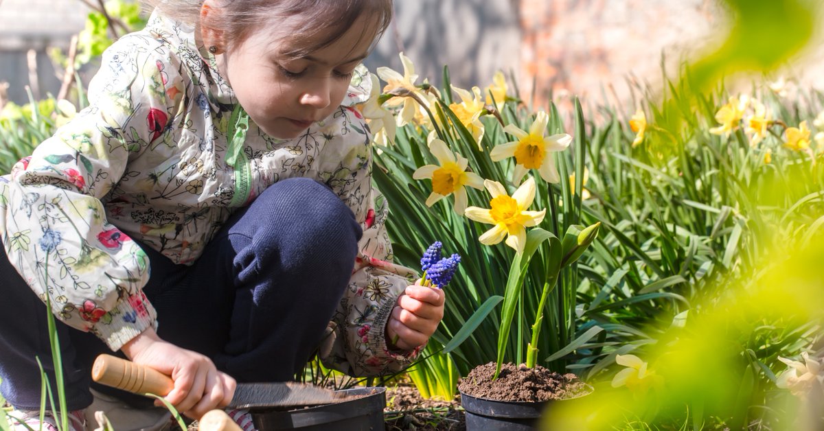 Throughout the summer, you and your children might have more contact with the soil when gardening or playing outside. Depending on where you live, it is common to find lead levels in your yard at or above guidance values. 

This is generally not cause for alarm as there are ways