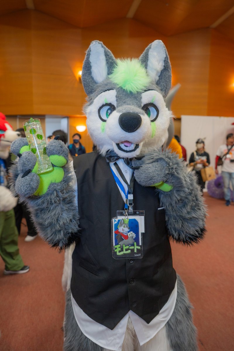 モヒートが6歳になりました

日本に来てから4年10ヶ月、一緒に歩んできて
皆様に愛され大変嬉しく思います

これからもマイペースに活動しますので
そんなモヒートを好きでいてくれたら嬉しいです。
📸たちつておくん@ ta2468theo 
#FursuitFriday 
#酔わせてモヒート