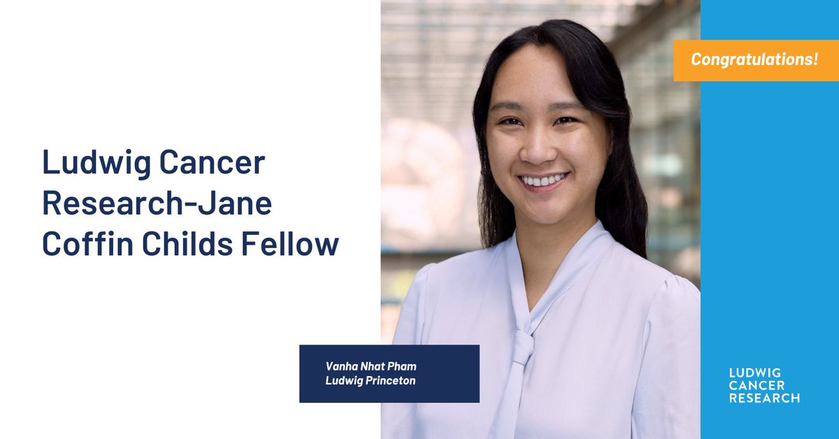 Ludwig_Cancer's tweet image. Congrats to Ludwig @Princeton's Vanha Nhat Pham, who has been named the first Ludwig Cancer Research-Jane Coffin Childs Fellow. Pham plans to explore the roles molecular components of cell membranes known as phospholipids play in cellular physiology.
bit.ly/463HJdQ