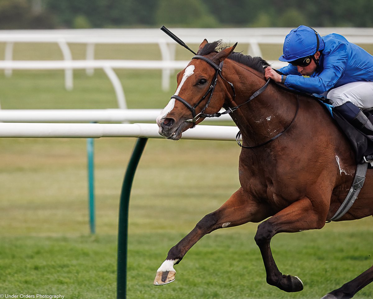 UnderOrdersPhotography (@under_orders) on Twitter photo "Prolific and Popular..." - Congratulations to <a href="/WilliamBuickX/">William Buick</a> on his 2000th winner - Pictured winning on El Cordobes earlier in the year <a href="/NewmarketRace/">Newmarket Racecourse</a> <a href="/godolphin/">Godolphin</a> #topguy #topjock "Prolific and Popular..." - Congratulations to <a href="/WilliamBuickX/">William Buick</a> on his 2000th winner - Pictured winning on El Cordobes earlier in the year <a href="/NewmarketRace/">Newmarket Racecourse</a> <a href="/godolphin/">Godolphin</a> #topguy #topjock