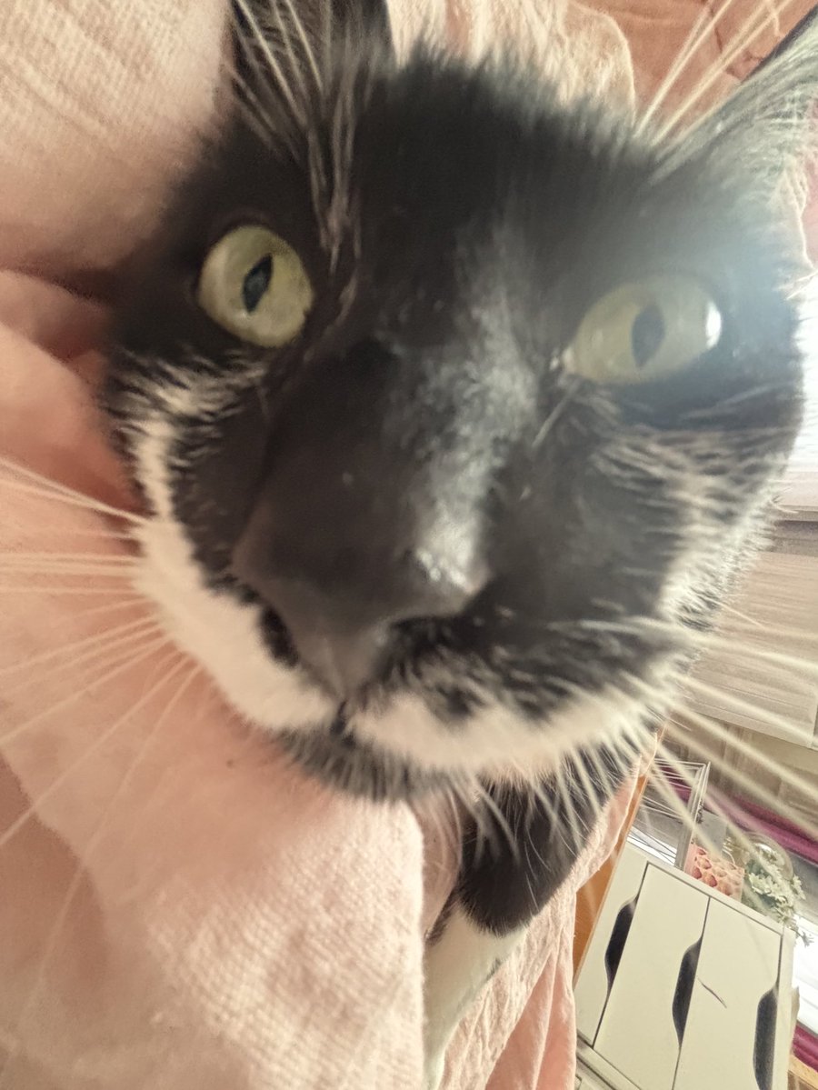 marcantoinecat's tweet image. this is what I wake up to every morning