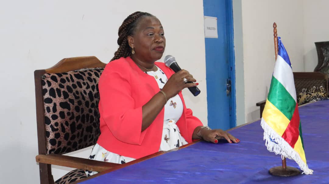 OITKinshasa's tweet photo. 🇨🇫 #RCA  | PPTD - Présentation des résultats 2017-2023, Renforcement des capacités des Mandants, et lancement du nouveau cycle 2026-2029, avec l'appui technique de @OITinfo #TravailDécent #PPTD https://t.co/xmAggYZdPB