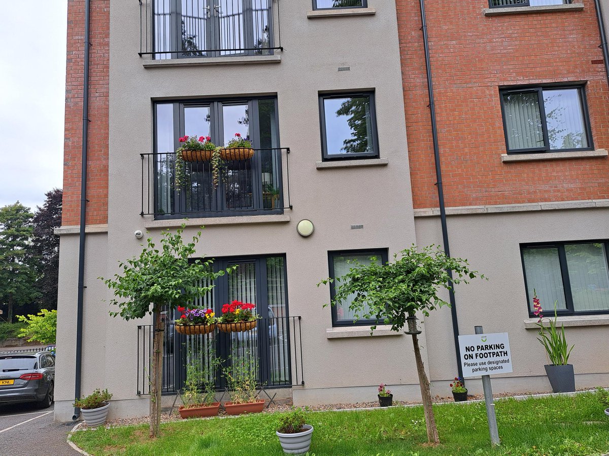 #ClanmilinBloom2025 judging continues in Dunville Link, the Savoy, the Imperial and Redwoods! Good luck, everyone! 🪻