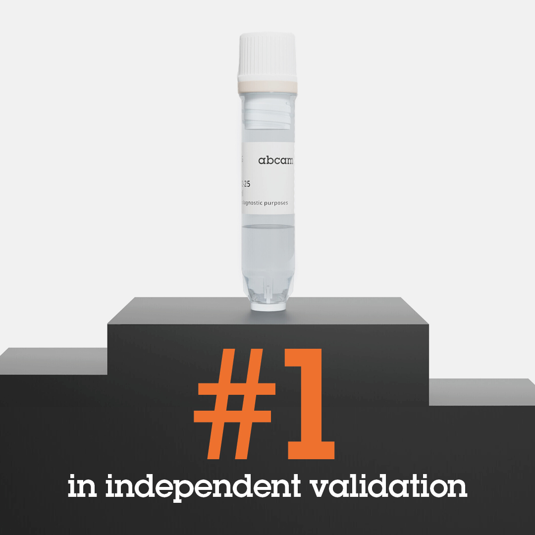 abcam's tweet image. Rest assured in the quality of your antibodies. Ranked first in independent validation studies by YhcarOs in 2024. Learn more here: bit.ly/430fBFf