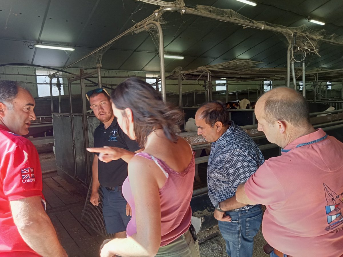 FDSEAVendee's tweet image. 🐮 Réunion de la section veaux de boucherie #FDSEAVendée à l'EARL des Mouettes à La Jonchère, occasion d'échanges sur l'évolution des pratiques d'élevage et les différents équipements pour optimiser le travail de l'éleveur, comme la distribution automatique 💧🥛🌾