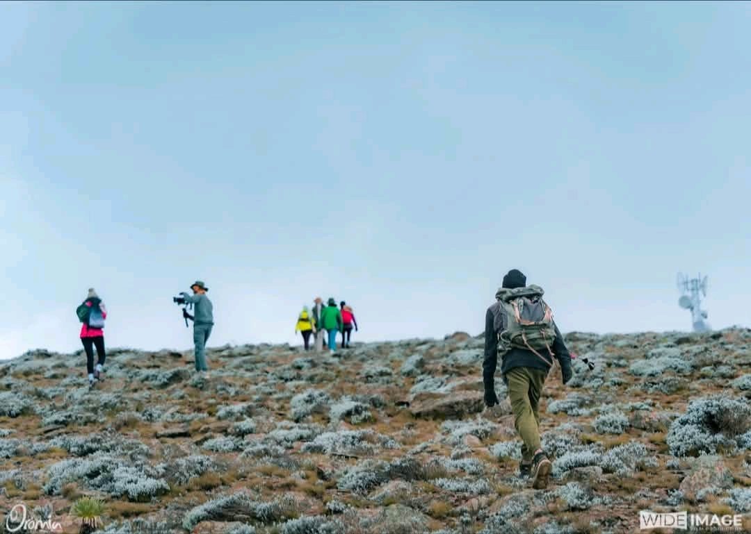 Imagine Bale Mountains National Park in this season!

Hiking through the fog, or even across snow-covered mountains everything around you is breathtakingly beautiful. The forest is greener than it has ever been, vibrant and full of life. 
Ethiopia Land of Origins