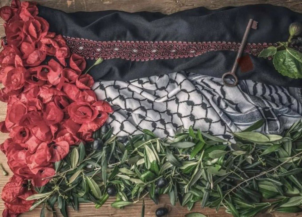 Libertad para Palestina. Porque hay causas que atraviesan fronteras, y silencios que también toman partido. 

#PalestinaLibre