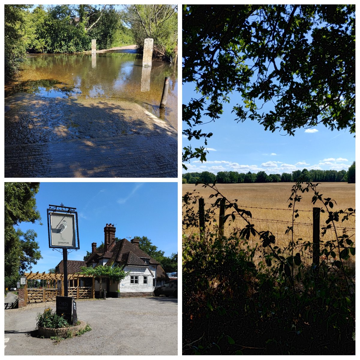 Been for a nice 7 mile walk around Charvil near Reading #Berkshire
31c heat 🥵