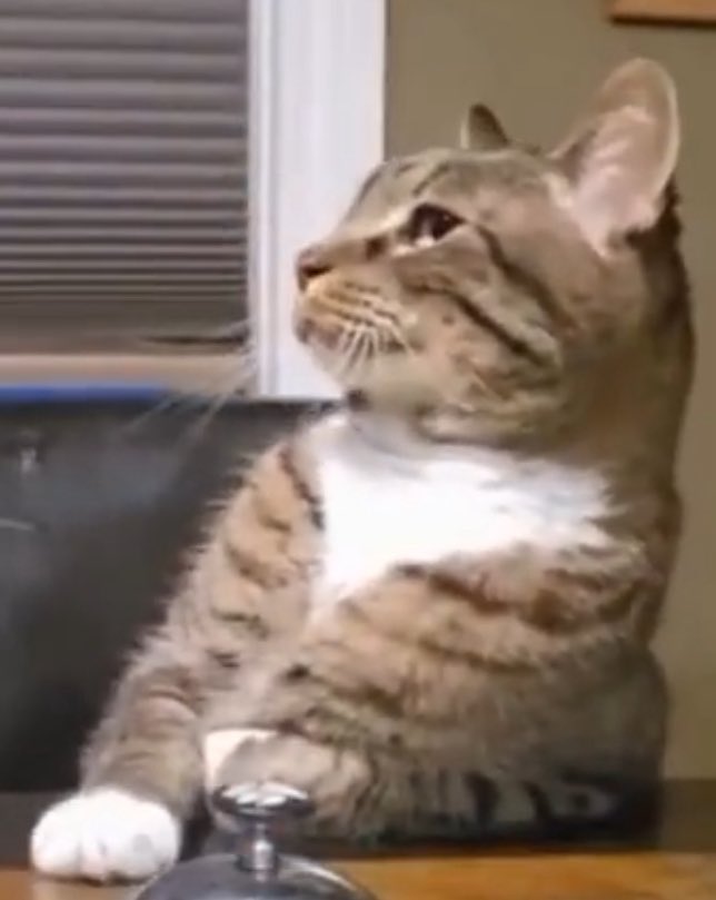 Bitfix Valorant tweet media