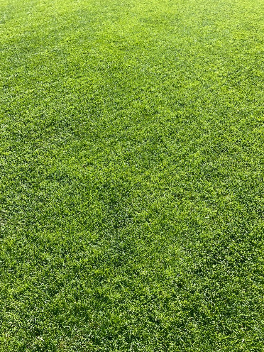 Agrovista Amenity (@agrovistaamnty) on Twitter photo Hartpury University in-house renovation completed
Take a bow @paulTHFCDav, Matthew Newman and the rest of the team 👏👏
#elitesport #growthproducts #sustane @hartpury #hartpuryrfc #hartpuryuniversity <a href="/peterholmstrom1/">peter holmstrom</a> Hartpury University in-house renovation completed
Take a bow @paulTHFCDav, Matthew Newman and the rest of the team 👏👏
#elitesport #growthproducts #sustane @hartpury #hartpuryrfc #hartpuryuniversity <a href="/peterholmstrom1/">peter holmstrom</a>