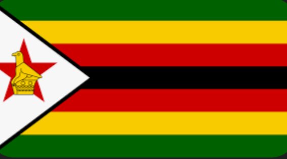 My fellow Zimbabweans
When these South African xenoph0bes chase us away from the clinics &amp; hospitals, let’s take the bus, go &amp; access healthcare in our country Zim 🇿🇼
You know, they are jealous of us because we are the most educated nation in Africa 
Let’s return home &amp; BUILD ZIM