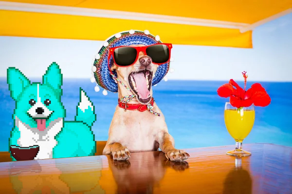 crypto_corgis's tweet photo. when $corgi hits 1bn mcap - a casual 4000x - and the boys go for that trip, it'll cost you about $1-2 if you put in money now 

$corgi on #base #basezn #memecoins $sol $meme $doge $keycat $eth $base $doge $wif #crypto #altszn $alts https://t.co/3pJ8tO5xll