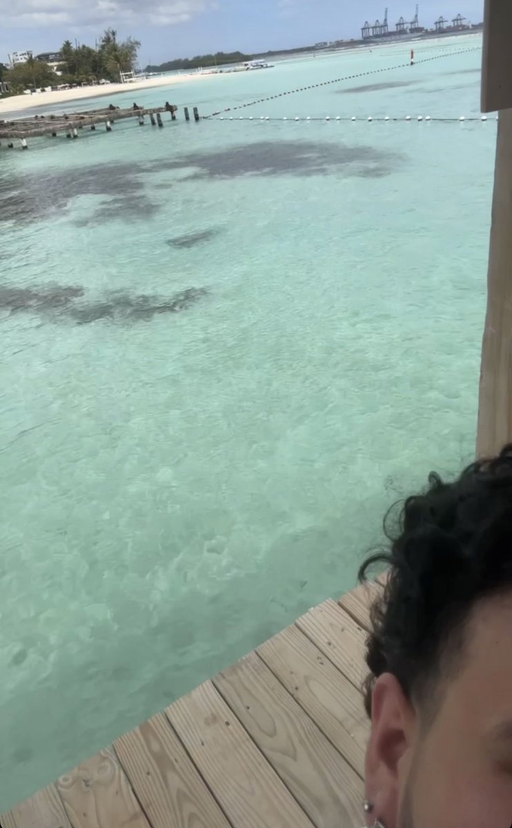 Fractured tweet media