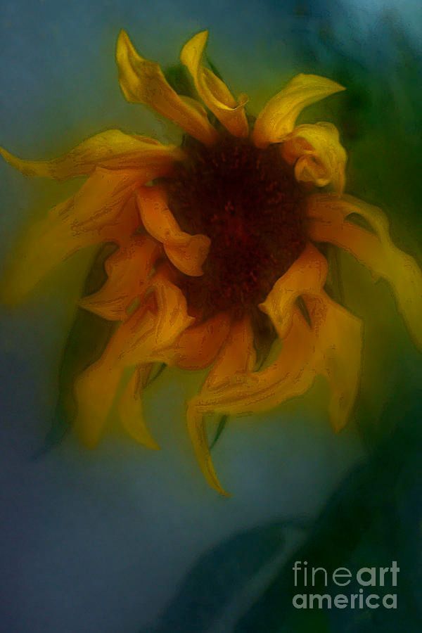 Alexander Vinogradov (@photographervin) on Twitter photo #Dreamy #Sunflower alexander-vinogradov.pixels.com/featured/sunfl…
#avinogradovflowers #photographyisart #nature #AlexanderVinogradov #photoghraphy #flowers #floralart #beautiful #print #giftideas #buyintoart #ArtSale #wallart #YearforArt #ArtLovers #BeautyinArt #FlowersOnX #garden #fineartphotography #Dreamy #Sunflower alexander-vinogradov.pixels.com/featured/sunfl…
#avinogradovflowers #photographyisart #nature #AlexanderVinogradov #photoghraphy #flowers #floralart #beautiful #print #giftideas #buyintoart #ArtSale #wallart #YearforArt #ArtLovers #BeautyinArt #FlowersOnX #garden #fineartphotography