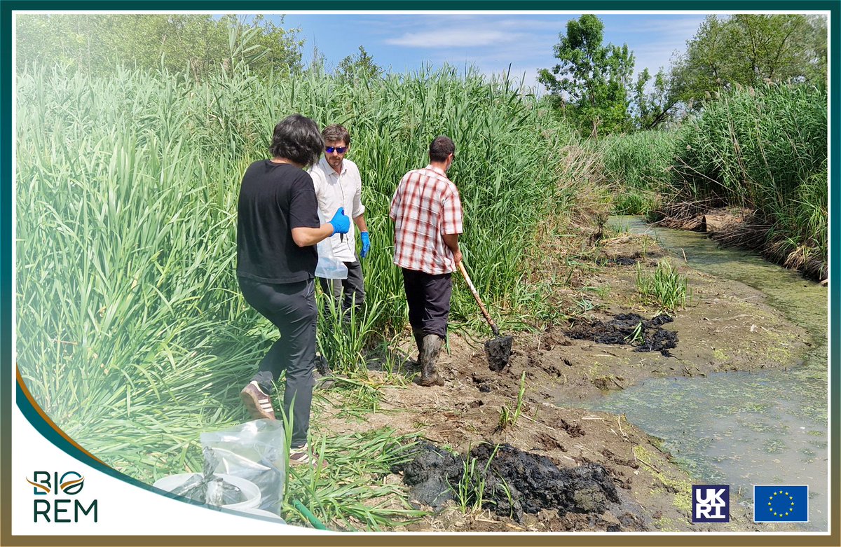 BIOREMproject tweet media