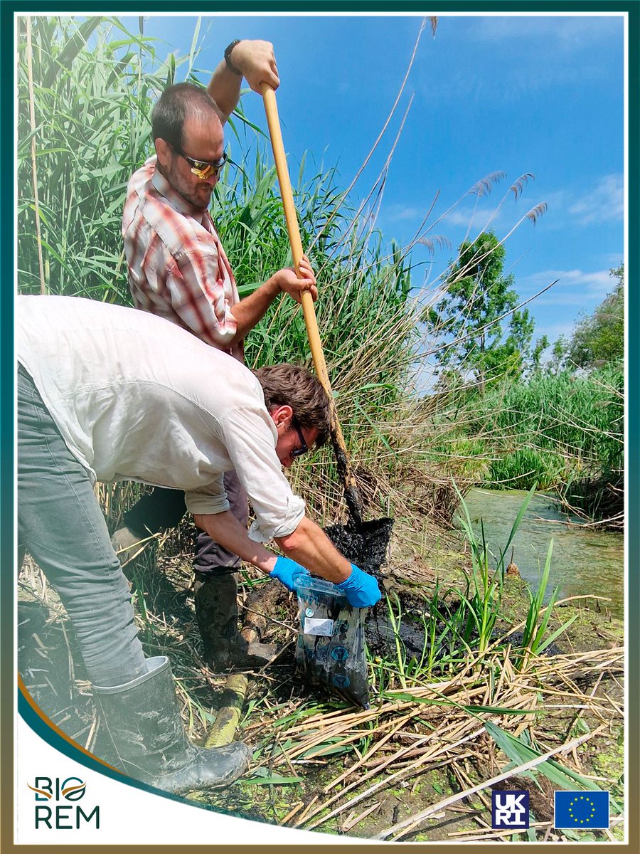 BIOREMproject tweet media