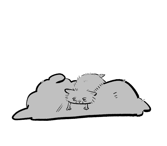 눈덩이는밤덩이 (@nuntineunbamti) on Twitter photo 