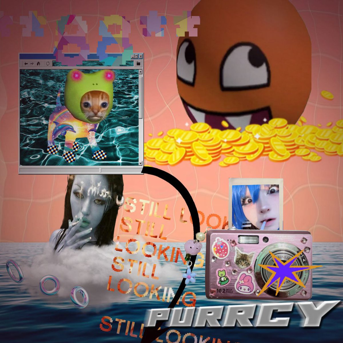 R u still looking? 

This purrcy only 3.99