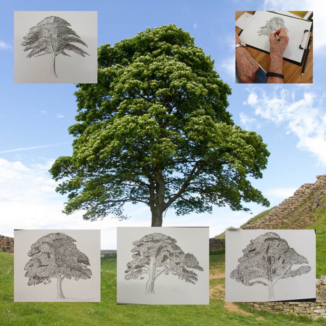 Oxted Library (@oxtedlibrary) on Twitter photo Look at some of the amazing trees that were drawn in our #Unearthed event The Art of Trees! A massive thank you to Liz from <a href="/HorleyLibrary/">Horley Library</a> who had them all entranced.
<a href="/SurreyLibraries/">Surrey Libraries UK</a>
#SycamoreGap Look at some of the amazing trees that were drawn in our #Unearthed event The Art of Trees! A massive thank you to Liz from <a href="/HorleyLibrary/">Horley Library</a> who had them all entranced.
<a href="/SurreyLibraries/">Surrey Libraries UK</a>
#SycamoreGap
