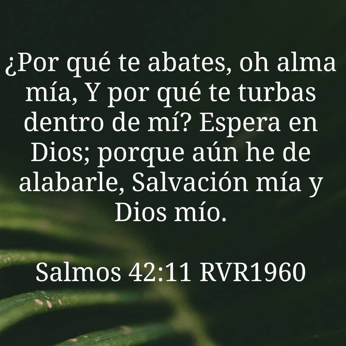 co_isra's tweet photo. 🙏🏾 https://t.co/X4Hizbmfna