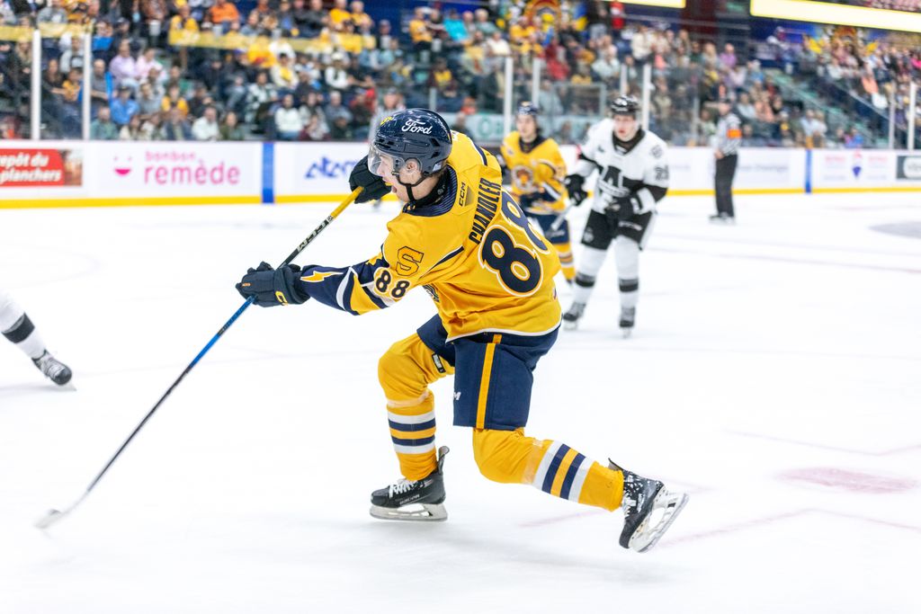 Boston Bruins high on Nova Scotian Cole Chandler's two-way ability, playoff mentality saltwire.com/nova-scotia/ha…