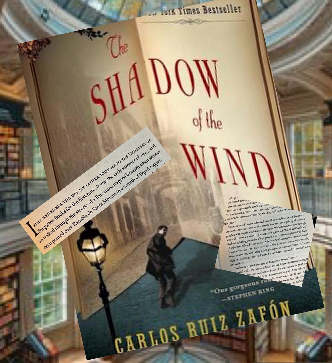 ɐʇʇǝɹop pirollo ıןןǝʇɹɐɯ, querying tweet media