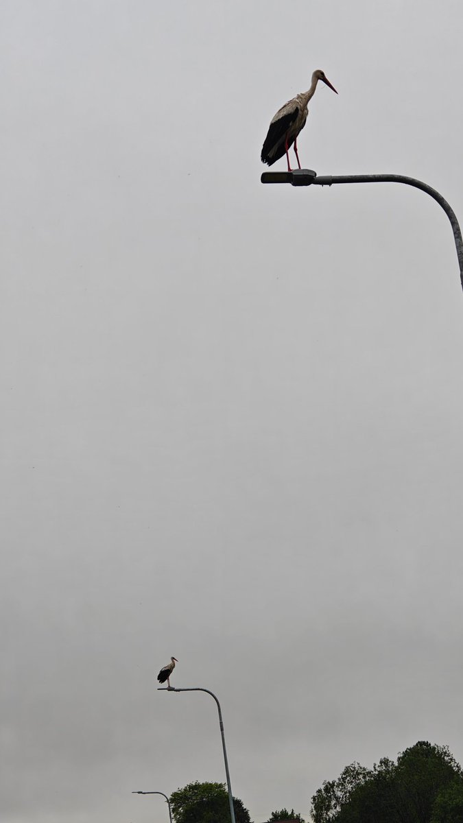 spnidelman's tweet image. on my way back home from kickboxing I was treated to this indie album tier sight