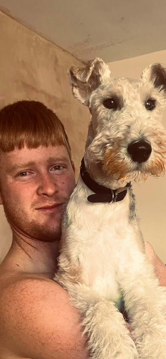 I think Ernie Spark likes chicken fajitas 🤭

Look at that beard ….

#littlesod
#foxterrier