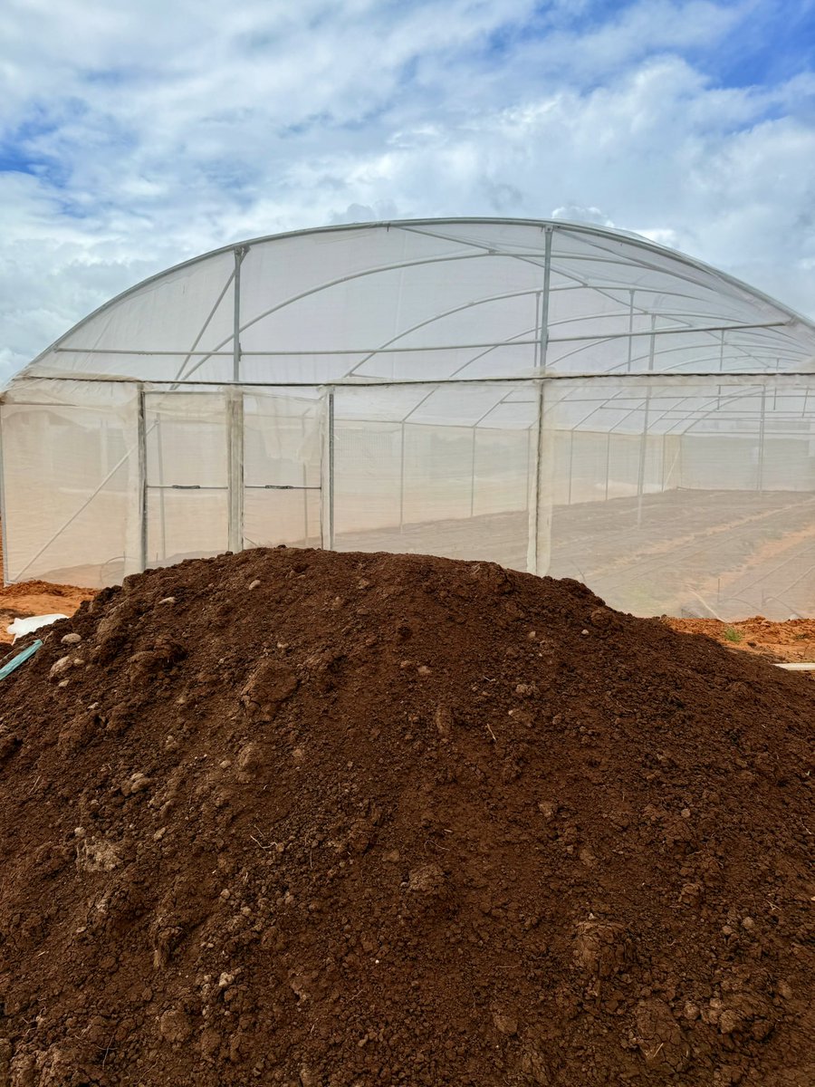 musse408's tweet photo. Dear Somalis 🇸🇴🍆🥕🫑🍅
Great news! Hecter Agri Tech has expanded from 26 to 30 modern greenhouses, now growing over 20,000 plants. With this, we’re boosting Mogadishu’s fresh produce supply by over 20% and creating more jobs for our people.
#HecterAgriTech #SomaliaFarming #GreenhouseRevolution #MogadishuProduce #FoodSecurity