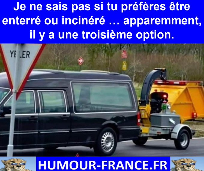 text alternatif