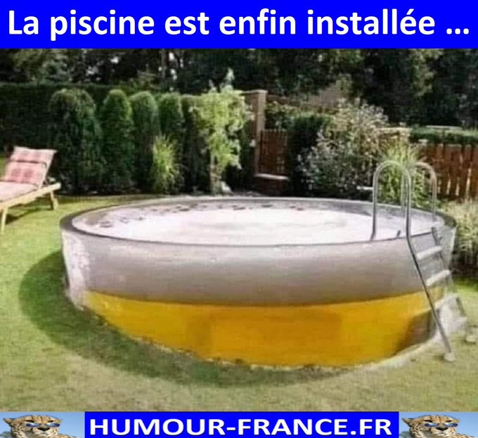 text alternatif