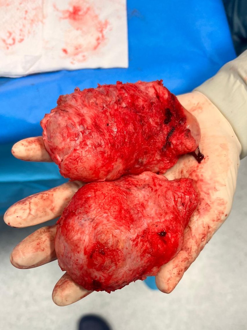 Roberto Castañeda tweet media