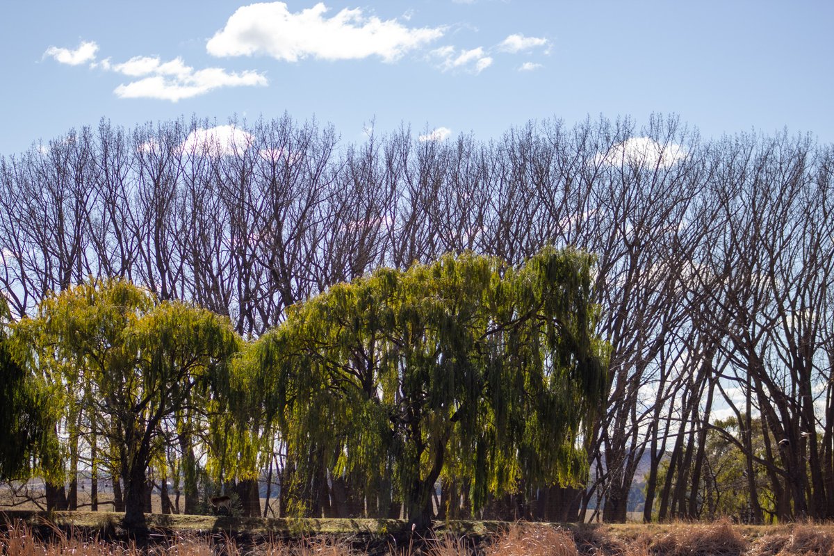 Yesterday, European lawmakers rejected the EU deforestation risk list, dealing another setback to the EU Deforestation Regulation.
 
Is this an attempt to delay the implementation of the rules? 

While we are aware that the Commission’s regulation has shortcomings, it has