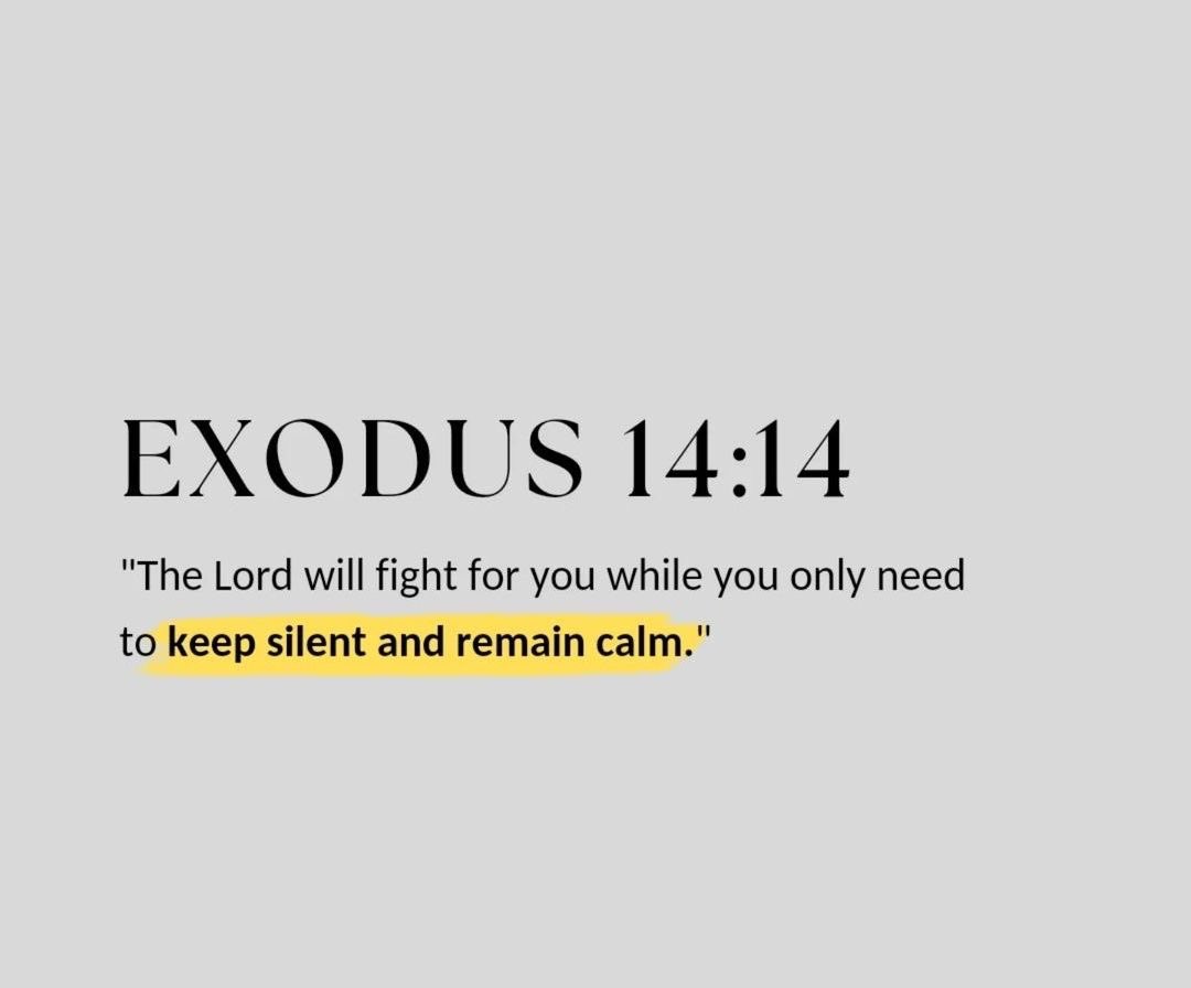 Holy__Bible1's tweet photo. Exodus 14:14 https://t.co/KFwddzWioA