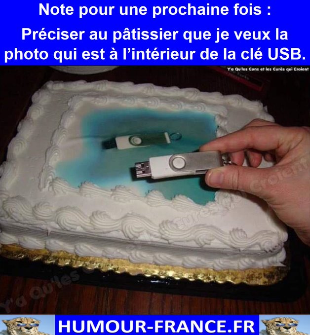 text alternatif