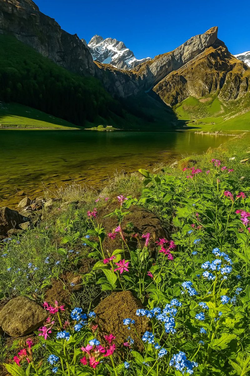 Aesthetic (@natureeveryone) on Twitter photo 