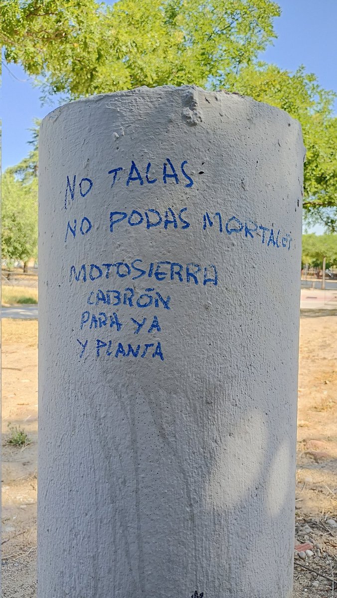 Lachurri's tweet image. Aunque no comparta las formas, el pueblo ha hablado. @AlmeidaPP_ escucha! (O lee en éste caso)